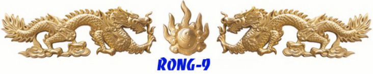 PHÙ ĐIÊU XI MĂNG MS:RONG9